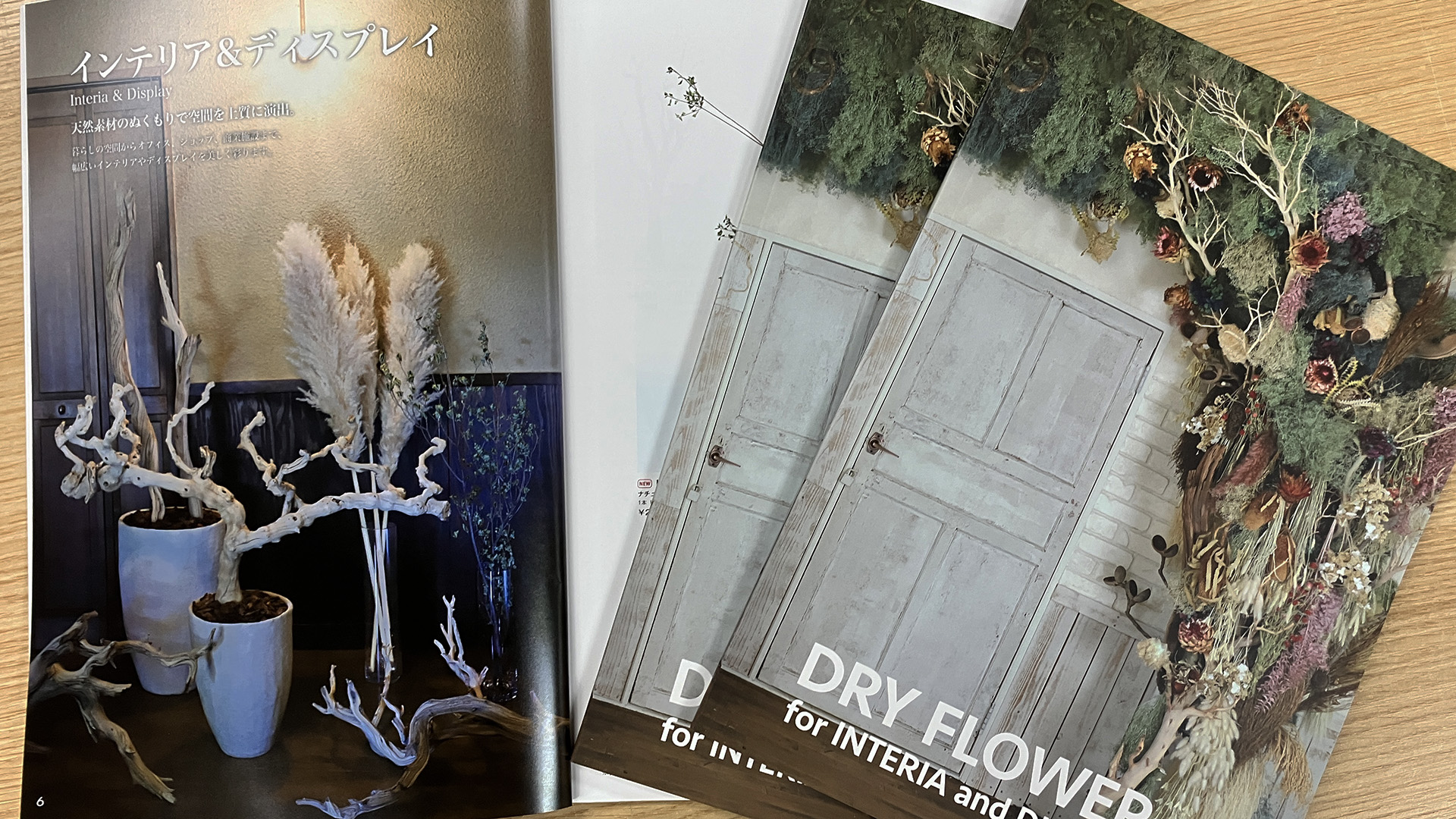 DRY FLOWER for INTERIA and DISPLAY vol.31