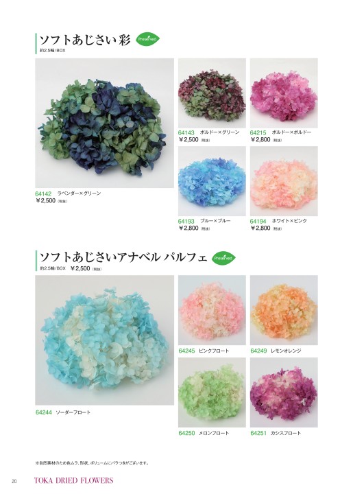 TOKA DRIED FLOWERS vol.30