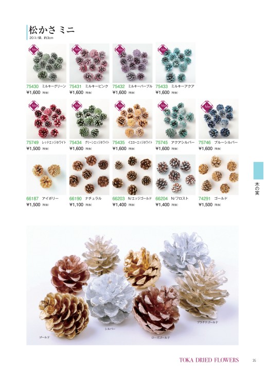 TOKA DRIED FLOWERS vol.30
